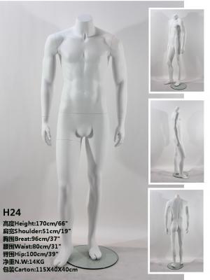 H24